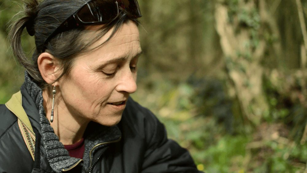 Plantes dans tous les sens